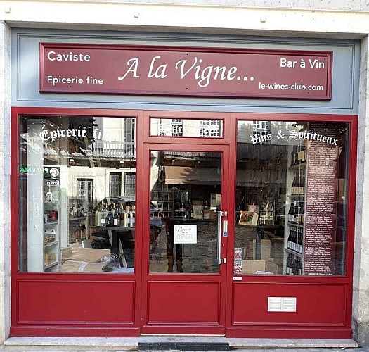 Cave à la vigne