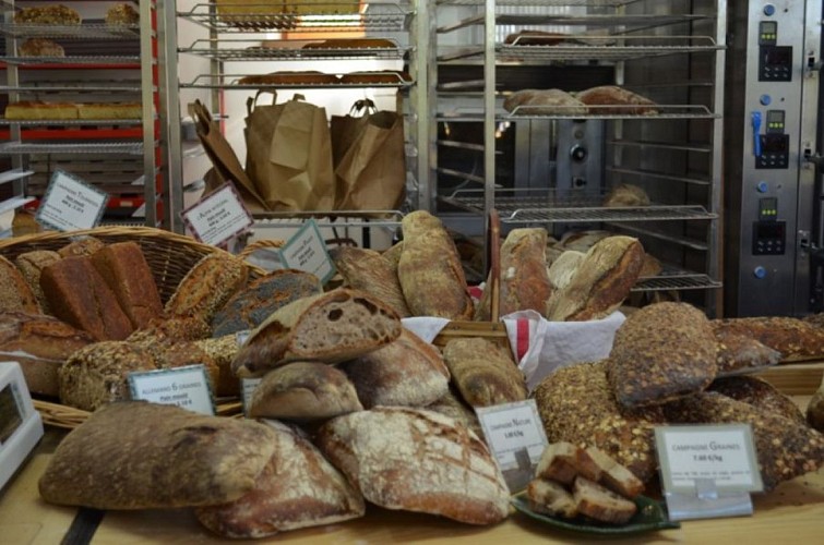 UNADJUSTEDNONRAW_thumb_4d09