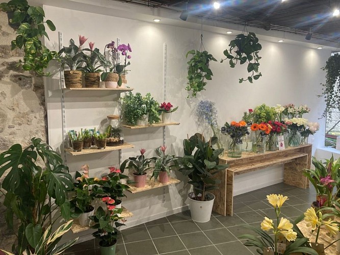 symbiose_rochechouart (2) (1)