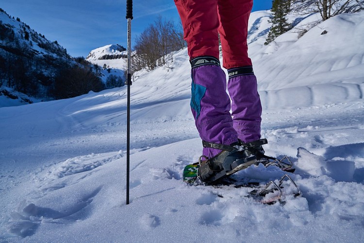 Raquettes sur pistes balisées à l'espace nordique de La Pierre Saint-Martin