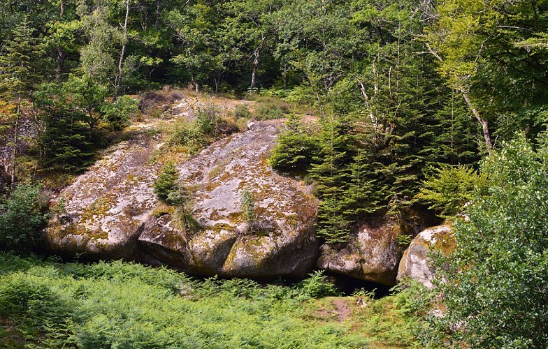 COMPREIGNAC Roches aux féesok (3)