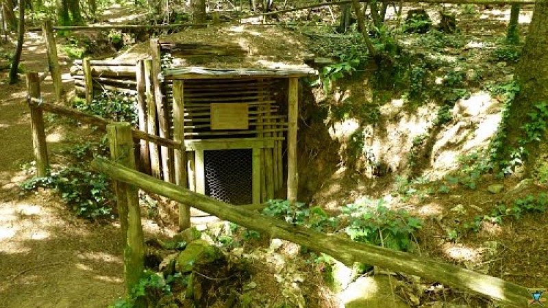 Terra Aventura : En poste dans la forêt de Boubon !