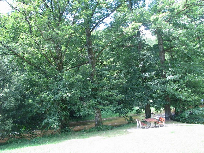 Parcours de Pêche No Kill_3