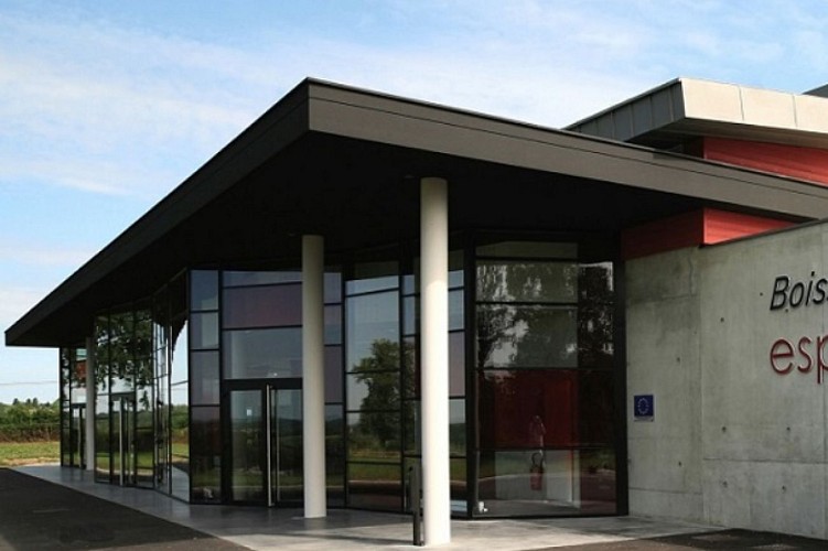 Capture d'écran 2024-08-31 110848