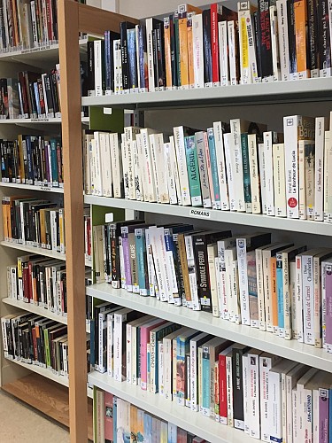 Bibliothèque de Bosmie l'Aiguille_1