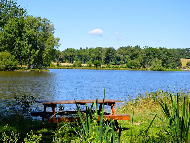 aire-de-pique-nique-nexon