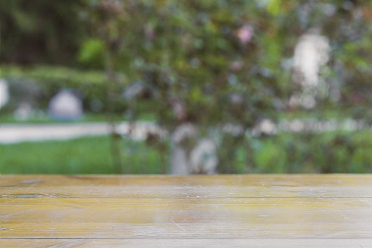 table-bois-dans-parc