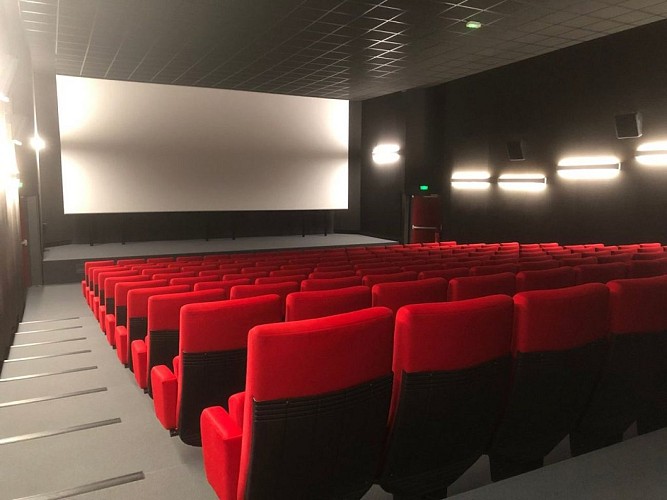 Grande salle Cinéma Arévi (Retaillée)