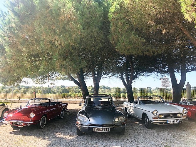 37761D3C-FC60-4632-8A6A-B2B3A0EC5C9A