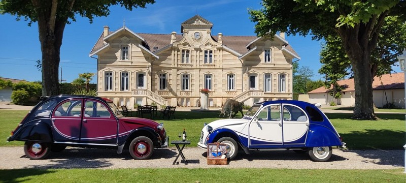 d287974899cdb78e7be1a6310d226352