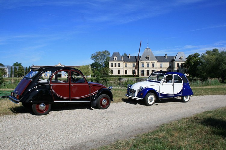 e13235d3202cd53fdb3d8eca17f9723a