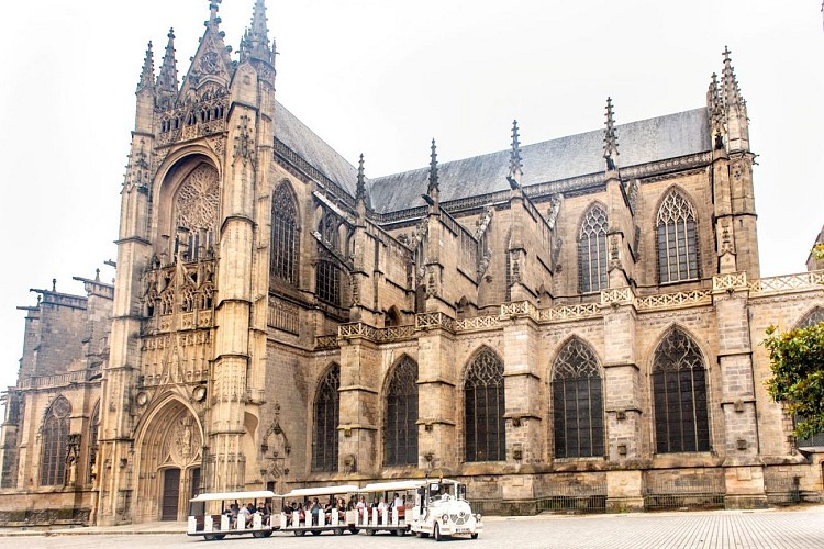 Visite-groupe- PetitTrainTouristiqueLimoges-07-2035