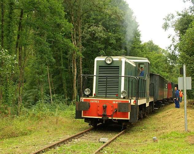 TTGM diesel 14