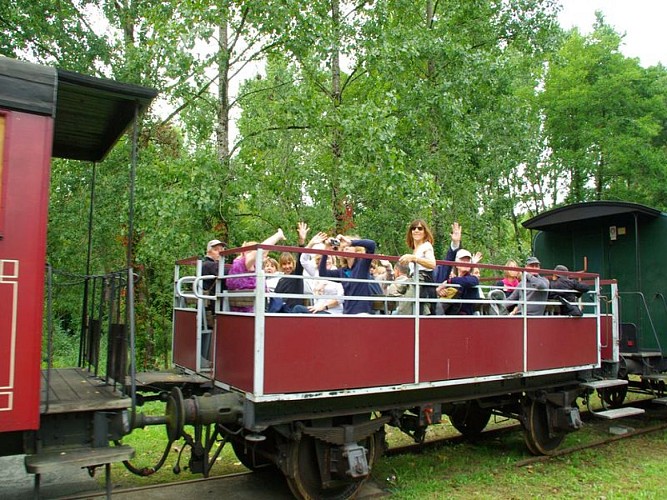 TTGM diesel 10
