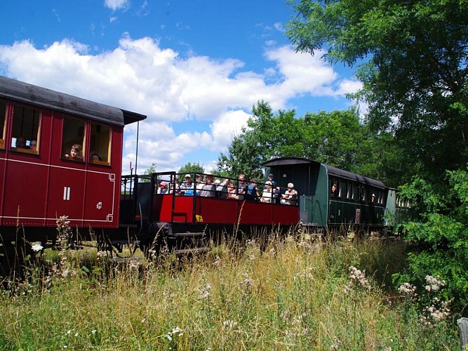 TTGM diesel 2
