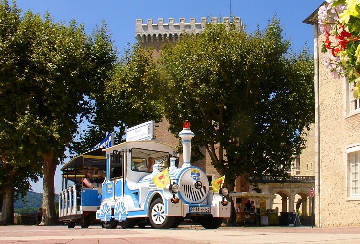 Petit-Train-de-Pau--1-