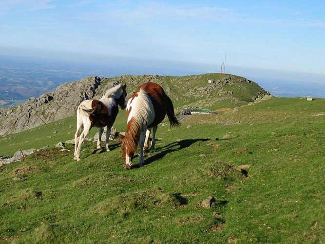 Train du Baigura (3)