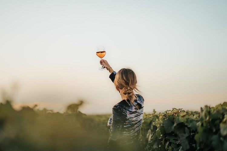 Description dans les vignes du Domaine du Chant d'Eole