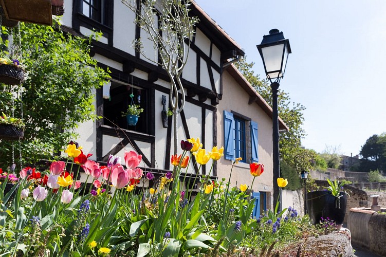 COURS A MOISE QUARTIER HISTORIQUE CCPG