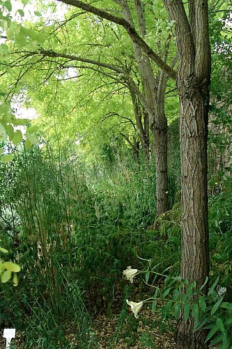 Parc de l'Abrégement