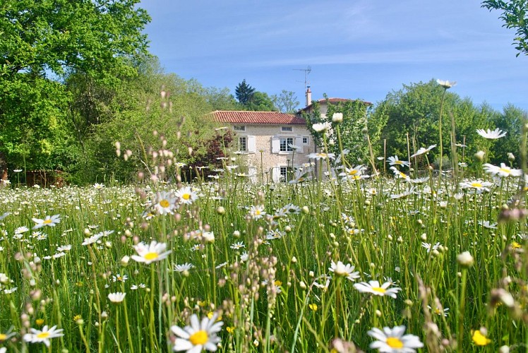 Moulin sous la vergne