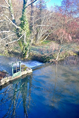 Moulin sous la vergne