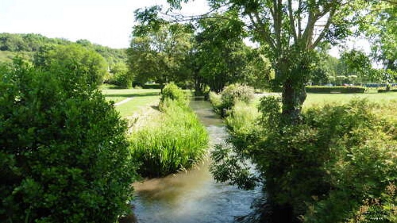 Image du poi