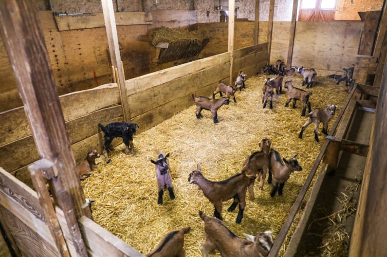 La ferme de Chez Boye