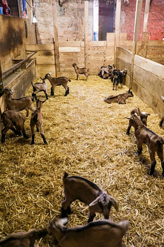 La ferme de Chez Boye