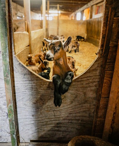La ferme de Chez Boye