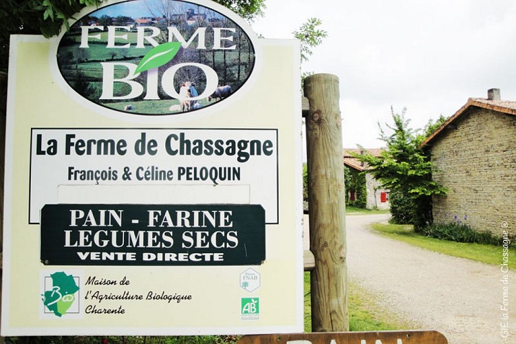 Ferme de Chassagne