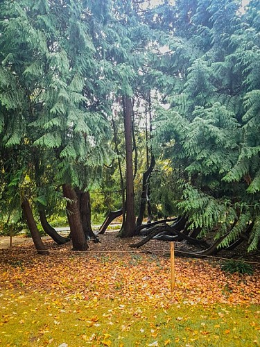 Village de Nanteuil en Vallée