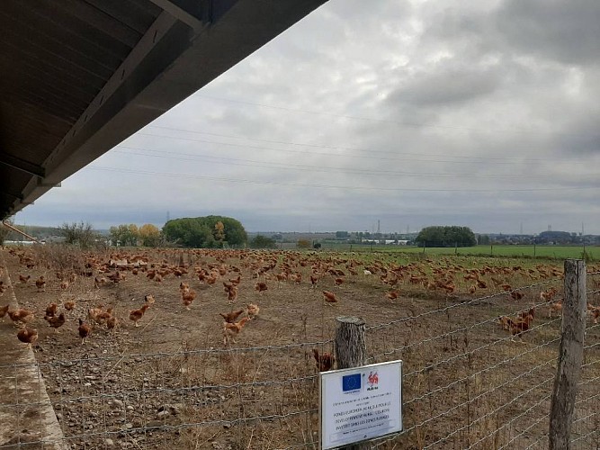 Ferme du Moulin Caillet