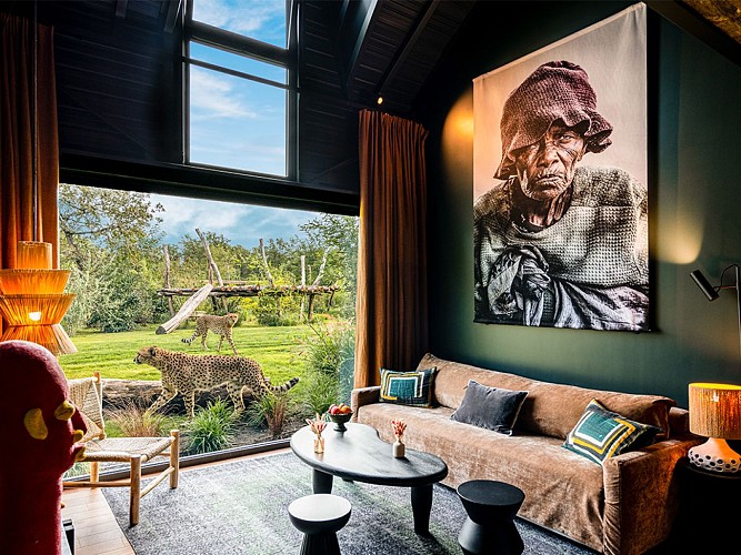 Deluxe_Guépards_Safari suite_Zoo de la Flèche