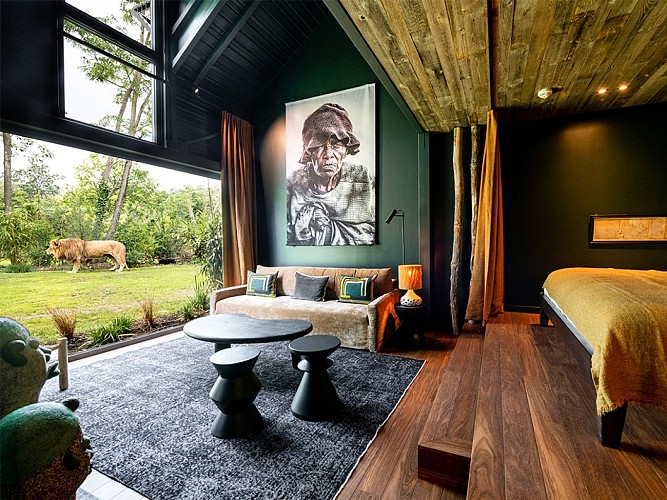 Suite_Premium_Lions_Safari suite_Zoo de la Flèche