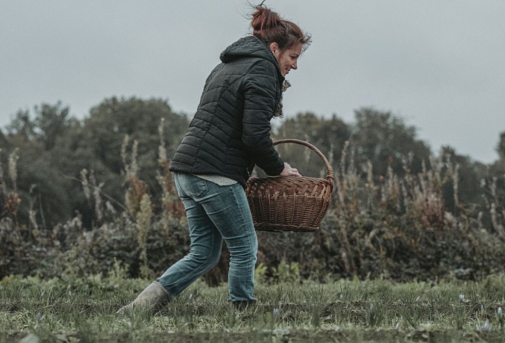 L'or Rouge de Chimay à Momignies