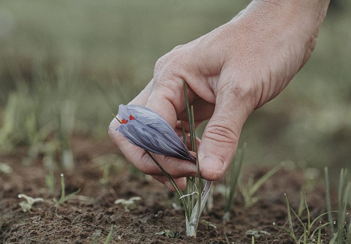L'or Rouge de Chimay à Momignies