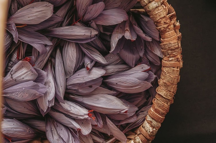 L'or Rouge de Chimay à Momignies