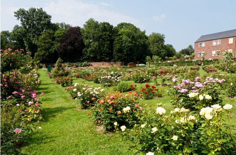 Roseraie - Ville du Roeulx