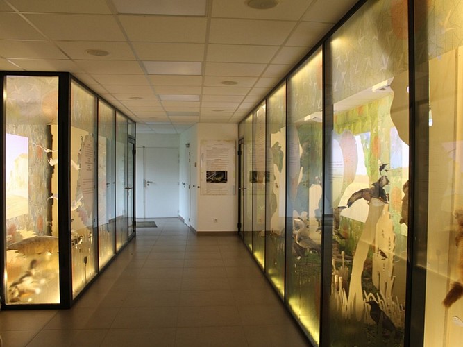 Allouville-Bellefosse_EspaceDécouverteduChene©Association_CHENE_2025