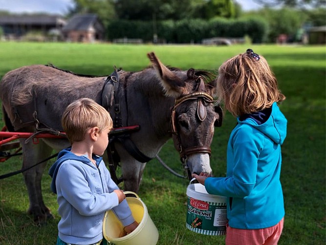 La-Ferme-Au-Fil-des-Saisons2025©I.Henry