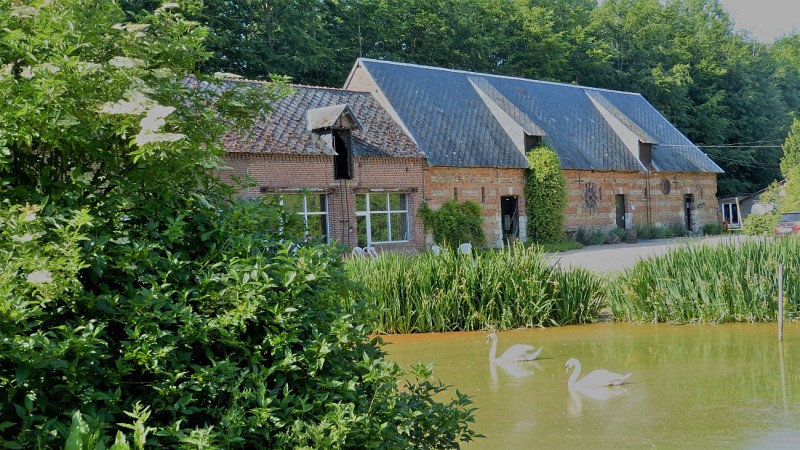 page 7 Ecomusée-du-lin-Ferme-Au-Fil-des-Saisons©IsabelleHenry  (1)