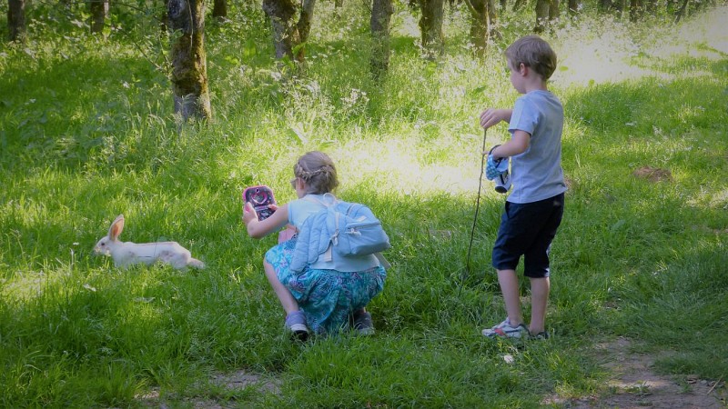 Ecomusée-du-lin-Ferme-Au-Fil-des-Saisons©IsabelleHenry  (6)