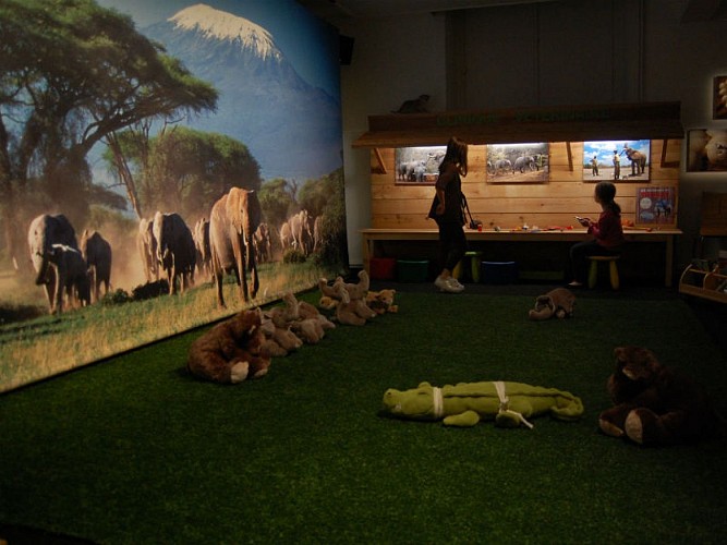 Muséum d'Histoire Naturelle (Fermé)