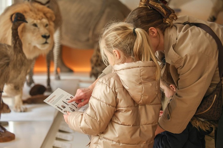 Muséum d'histoire naturelle du Havre - ©Philippe Bréard (2)