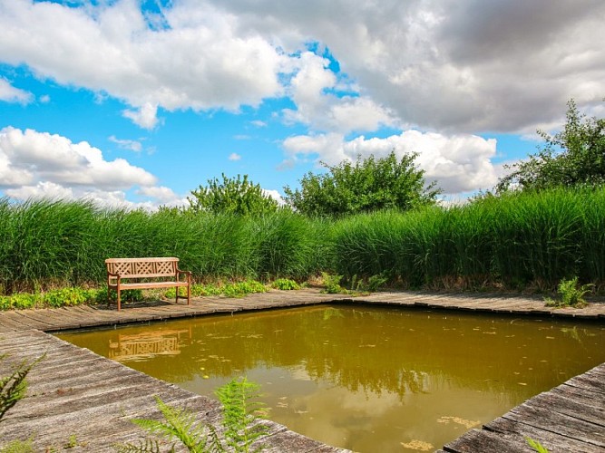 Le Jardin Plume - Auzouville-sur-Ry