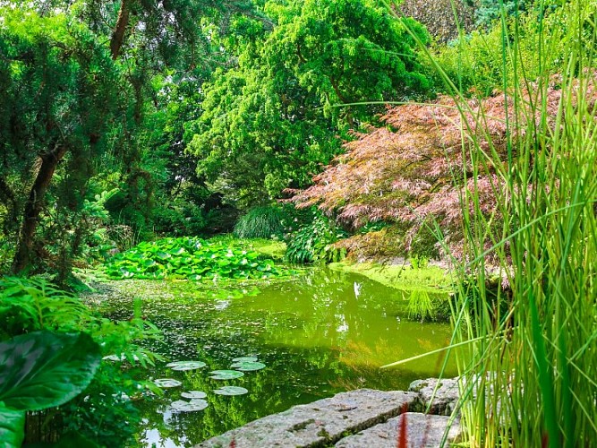 Jardin de Valérianes - Buchy - 2020