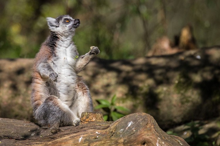 MB_CD76_18-04-19-illustrations-583