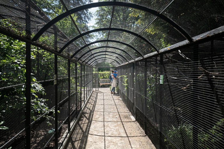 MB_CD76_20-05-25-Illustrations Parc de clères-41