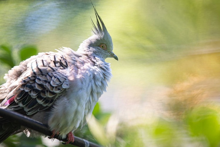 MB_CD76_20-05-25-Illustrations Parc de clères-48